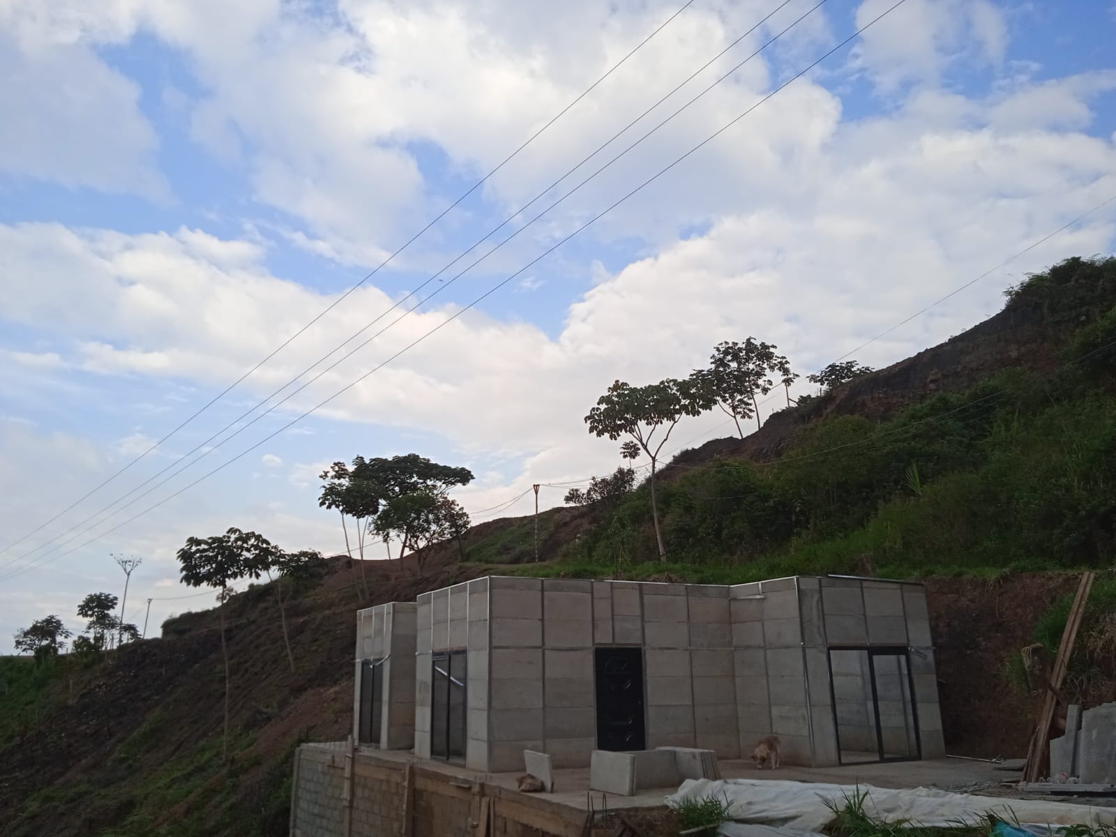 WhatsApp Image 2023-10-06 at 3.33.17 PM (4)